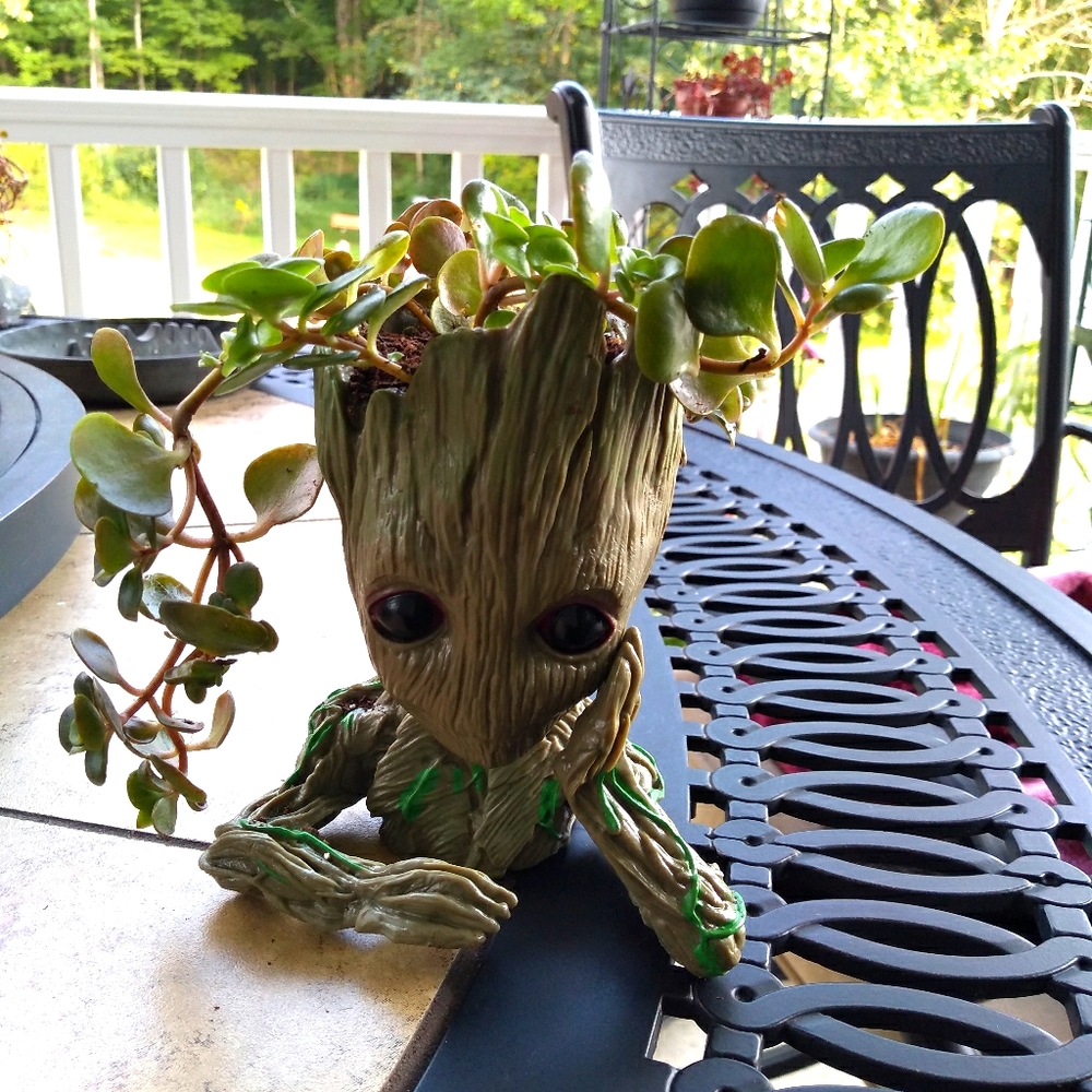 Groot planter - Picture 1 of 2